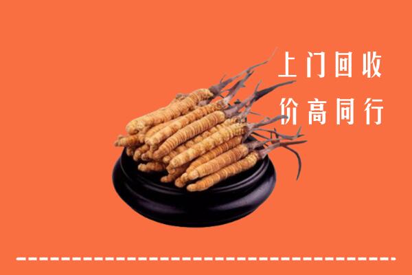 高价求购：鄂州市华容回收散虫草