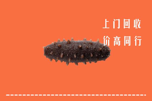 高价求购：鄂州市华容回收海参