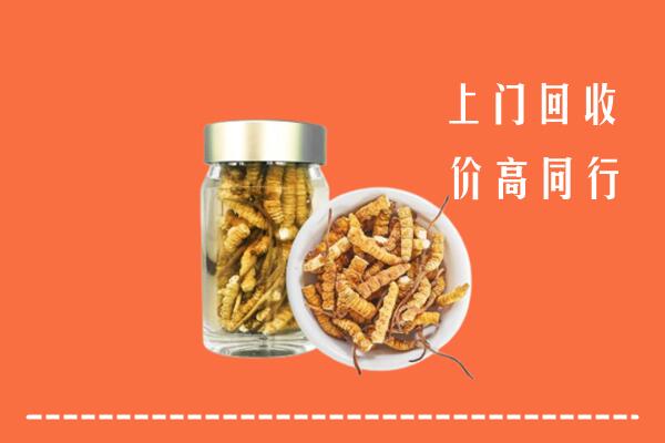 鄂州市华容回收冬虫夏草